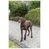 Trixie čizmice za pse Walker Active Long XL Crna | Eponuda.com