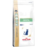 Royal Canin Expert Dental Cat - Varčno pakiranje: 2 x 1,5 kg Cene