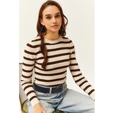Olalook Women's Bitter Brown Crew Neck Striped Knitwear Crop Sweater Cene