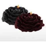 Taboom Rose Japanese Drip Candle 2 pcs | shoptok.hr