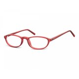 Berkeley naočare za kompjuter CP131C | ePonuda.com