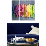 Wallity Set slika MDF225335341, 3 dijela | Eponuda.ba