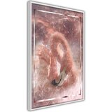  Poster - Stellar Bird 20x30 | shoptok.hr