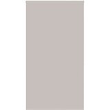 vidaXL Rolo zavesa za prho 140x240 cm širina tkanine 136 cm | Shoptok.si
