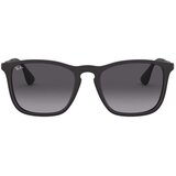 Ray-ban Muške Sunčane naočale Ray Ban RB4187 Black | shoptok.hr