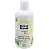 Šampon za masnu kosu s bio biljem (250 ml)