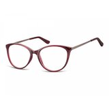 Berkeley Naočare AC27D Cene