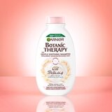 Garnier Botanic Therapy Oat Delicacy šampon za občutljivo lasišče 250 ml za ženske | Shoptok.si