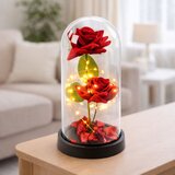 Eternal 2 Roses in Dome with LED Lighting and Rose Petals Red 21x11cm | Shoptok.si