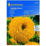 KIEPENKERL Profi-Line Sjeme cvijeća Suncokret Gefüllte Riesen (Helianthus annuus, Žuta) | shoptok.hr