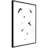  Poster - Birds 20x30 Cijene