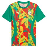  Muški Nogometni Dres Kratkih Rukava Puma Senegal Prematch Ss Zelena | shoptok.hr