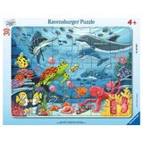 Ravensburger Puzzle - Sestavljanka z okvirjem - V morju, 30 delov | Shoptok.si