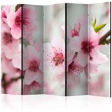  Paravan u 5 dijelova - Spring blooming tree - pink flowers II [Room Dividers] 225x172 Cijene