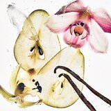 Calvin Klein CK Body Mist meglica za telo dišave Nude Vanila 236 ml | Shoptok.si