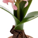 Ixia Umetna rastlina (višina 29 cm) Hyacinth – | Shoptok.si