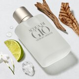 Giorgio Armani Acqua di Giò Pour Homme toaletna voda za moške 30 ml | Shoptok.si