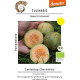 BIO medena melona Amelia | Shoptok.si