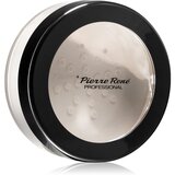 Pierre René Professional Velvet Matte matirajoč puder v prahu odtenek Transparent 12 g | Shoptok.si