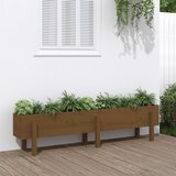 vidaXL Vrtna visoka greda medeno rjava 160x30x38 cm trdna borovina | Shoptok.si