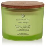 Chesapeake Bay Candle Mind & Body Awaken & Invigorate mirisna svijeća I. 312 g Cijene