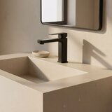 REA Bath Kopalniški mešalnik Arlo Black | Shoptok.si