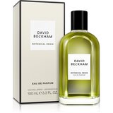 David Beckham Botanical Resin parfumska voda za moške 100 ml | Shoptok.si