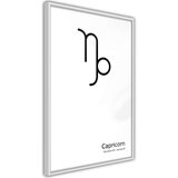  Poster - Zodiac: Capricorn II 40x60 | shoptok.hr