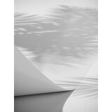 Venture Home poster Papyrus 70 × 100 cm, bijeli | shoptok.hr