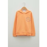 LC Waikiki Sweatshirt - Orange - Regular fit cene