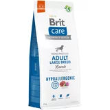 Brit Care Dog Hypoallergenic Adult Large Breed jagnjetina & riž - Varčno pakiranje: 2 x 12 kg