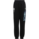 Adidas Spodnji deli trenirke ARKD3 PANT Črna Cene