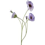 Mondex cvetna vejica plastika Viridis Mak Polni 67cm rdeča 1pc, (5000301154) Cene