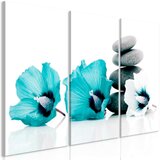 Slika - Calm Mallow (3 Parts) Turquoise 120x80 Cijene