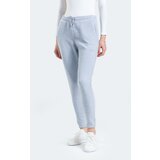 Slazenger Sweatpants - Gray - Joggers Cene