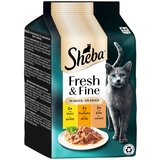 MEGA pakiranje Sheba Fresh & Fine 12 x 50 g - Piletina, puretina i pačetina u umaku | shoptok.hr