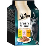 MEGA pakiranje Sheba Fresh & Fine 12 x 50 g - Piletina, losos i puretina u umaku | shoptok.hr