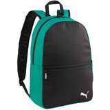 Puma Teamgoal sarena Cijene