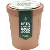  Ekološki set za sajenje "Vaše božično drevo 2030" | Shoptok.si