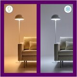 Wiz LED pametne žarulje u setu 2 kom E27, 9 W – | shoptok.hr