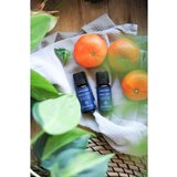 Almara Soap Aromatherapy Energy Boost esencijalno mirisno ulje 10 ml | shoptok.hr