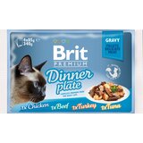 Brit Delicate Fileti za mačke u sosu - Dinner Plate 4x85g | ePonuda.com