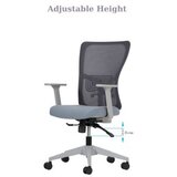 Hanah home Set 2 kancelarijske stolice Lumbar 108 Grey | ePonuda.com