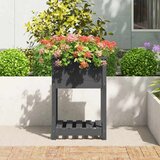  Sadilica s policom siva 54x54x81 cm od masivne borovine | shoptok.hr