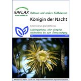 Saflax Kraljica noči | Shoptok.si
