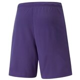 Puma Teamrise Ljubičasta | shoptok.hr