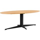 Livetastic KLUBSKA MIZA, naravne barve, črna | Shoptok.si