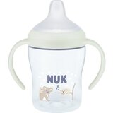 Nuk Perfect Match Koala bočica za učenje pijenja 6m+ 150 ml | shoptok.hr
