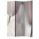  Paravan u 3 dijela - Tulips fine art - black and white [Room Dividers] 135x172 Cijene