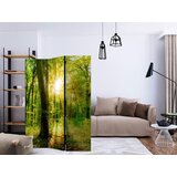 Artgeist Paravan - Forest Rays 135x172 | shoptok.hr